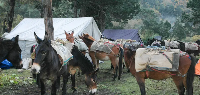 Jamolhari Trek gallery image